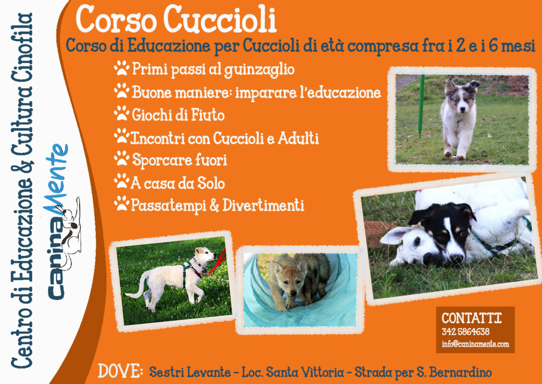 Corso Cuccioli